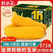 灶小美玉米新鲜现摘糯玉米内蒙古黏玉米棒真空包装非即食黄糯苞米