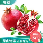 鲁禧 突尼斯软籽石榴*5斤 精选装（单果4-6两）