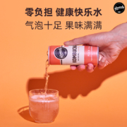 澳大利亚进口，Remedy 悦蔓蒂 康普茶 250mL*17罐  多口味