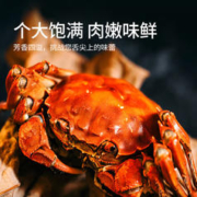 湖丰 【活蟹】湖丰阳澄湖大闸蟹活鲜螃蟹现货生鲜水产实物尝鲜礼盒 公3.0两 母2.5两 3对6只