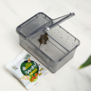 超级补贴：NOMOYPET 黑色饲养盒 送活体乌龟+龟粮