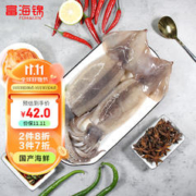 富海锦 冷冻大鱿鱼 800g