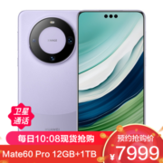 HUAWEI 华为 Mate 60 Pro 手机 12GB+1TB 南糯紫