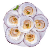 plus会员：ZONECO 獐子岛 PLUS：蒜蓉粉丝扇贝 12只 400g*4件