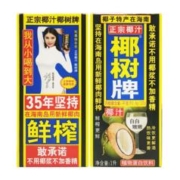 椰树 牌椰子汁海南鲜榨椰汁植物蛋白饮料1升*2盒
