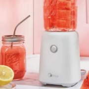 Midea 美的 MJ-LZ25Easy121 料理机