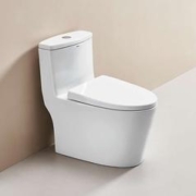 京东PLUS：ANNWA 安华 NL15001M 连体式马桶 305mm坑距