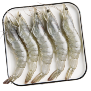 禧美海产 鲜冻白虾1.8kg/盒(大号) 规格50-60/kg 活冻大虾 生鲜 海鲜水产
