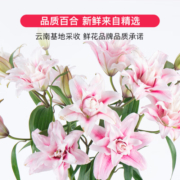 花点时间（Reflower）鲜花送女友送老婆生日礼物玫瑰康乃馨百合向日葵云南基地直发-棉 【福利】香水百合10朵