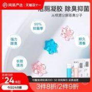 YANXUAN 网易严选 洁厕灵 500g