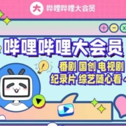 哔哩哔哩会员 12个月 bilibili会员B站大VIP会员 1年卡 填手机号