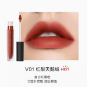 Perfect Diary 完美日记 天鹅绒唇釉哑光口红显白女丝绒唇泥 2.5g