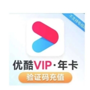 YOUKU 优酷 会员年卡 12个月