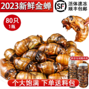 京东百亿补贴：莲山九鲜知了猴 大号金蝉80只（1瓶装）