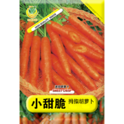 凤鸣雅世  小脆甜胡萝卜种子 10g