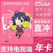 【自动充值】哔哩哔哩电视大会员12个月 超级大会员年卡