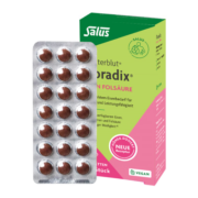 莎露斯铁元（Salus Floradix）德国进口绿铁片剂84粒/盒成人女性补充维生素C 补铁补叶酸维生素
