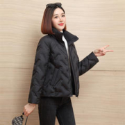 雪中飞 女式短款立领羽绒服休闲舒适系列经典简约保暖高品质鸭绒羽绒服女