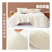 BLISS 百丽丝 100%新疆长绒棉四季被 220*240cm