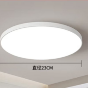 PLUS会员：长虹 照明三防吸顶灯 23cm15w白光