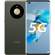 华为 HUAWEI Mate 40 Pro 5G手机 麒麟9000 SoC芯片 超感知徕卡电影影像 夏日胡杨 8GB+128GB