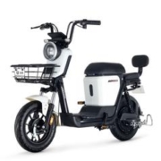 31日20点、88VIP：LUYUAN 绿源 ZFA 蜜豆 新国标电动自行车 TDT2020Z