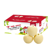 京东PLUS：GWF 皇冠梨 一级 5kg 礼盒装