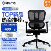 YANXUAN 网易严选 小蛮腰系列light版 人体工学椅 S5