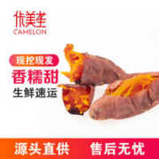 佧美垄 京地达 山东寿光 烟薯25号 2.5KG装