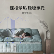 栖作奇遇羽绒垫鹅绒五星级酒店舒适床褥榻榻米家用双人加厚 棉麻青绿 900*2000mm