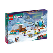 LEGO 乐高 新品 积木女孩好朋友系列41760极地小屋大冒险 女孩玩具
