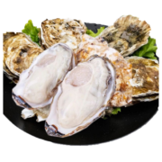 牧海翁乳山生蚝鲜活特大牡蛎生鲜贝类新鲜海蛎子带壳生蚝肉【三倍体】 乳山生蚝XXXXL带箱5斤