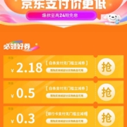 京东 11.11科技会场 领0.5元白条无门槛支付券+0.3元银行卡无门槛支付券