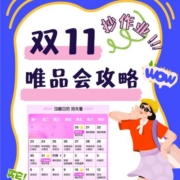 31日20点、促销活动：唯品会 11.11特卖主会场