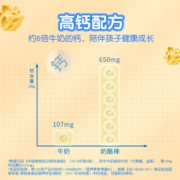 妙可蓝多 儿童奶酪棒 混合水果味 ≥51%干酪含量 高钙健康 500克/25支装