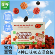 金晔山楂棒棒糖无添加防腐剂儿童山楂零食陈皮桑葚蓝莓408g
