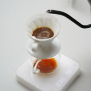 TERRAFORM COFFEE ROASTERS 啟程拓殖 墨西哥COE#4 手冲咖啡豆100g