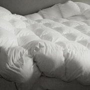 SIDANDA 诗丹娜 抗菌技术160支4A羽绒被95白鹅绒夏被冬被春秋被子保暖被芯 23年升级款 地暖被 200*230cm