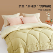 Bliss 百丽丝家纺 抗菌七孔纤维被芯被子 200*230cm(净重约8斤)