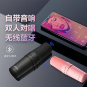 PHILIPS 飞利浦 DLM3006无线蓝牙话筒音响一体全民K歌麦克风