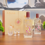 五粮液仙林生态 官方授权 52度优级酒水 天赋鸿运 500ml*2瓶礼盒装