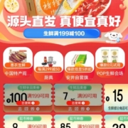 领券即用：京东双11 生鲜会场 满199减100/超市神券
