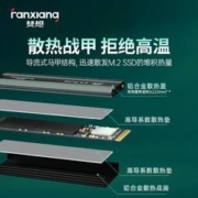 FANXIANG 梵想 SSD固态硬盘 M.2接口PCIe4.0x4 长江晶圆适配PS5