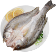 一虾一世界 三去海鲈鱼350-450g/条（去鳞去腮去内脏）新鲜冷冻开背白蕉鲈鱼 1条装