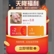 天猫官方 天降福利 1元起包邮秒杀 每天11点开抢