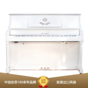 星海（中加合资）欧式古典立式钢琴 进口配件 家用考级专业演奏琴 123DJ 白色