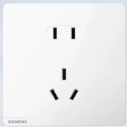 SIEMENS 西门子 皓彩雅白色 正五孔10只装