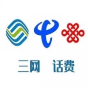 京喜APP:全国三网 话费慢充 100元