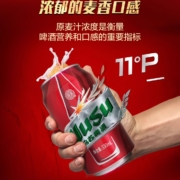 夺命大乌苏 红乌苏新疆啤酒 330ml*6罐