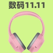 20点领好券：数码5折券！京东数码3C双11会场开启！
